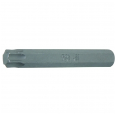 Antgalis T55 Torx ilgis 75mm / storis 10mm