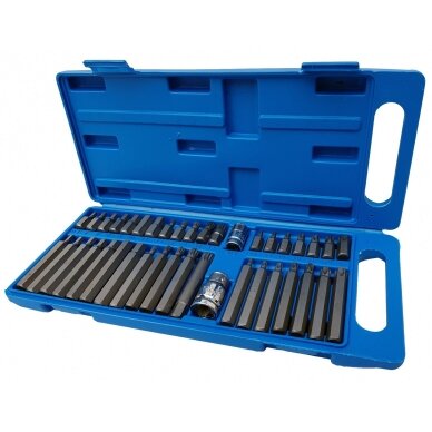 Antgalių rinkinys TORX HEX SPLIN, plastikinė dėžutė 40vnt. 1