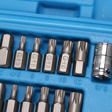 Antgalių rinkinys TORX HEX SPLIN, plastikinė dėžutė 40vnt. 2