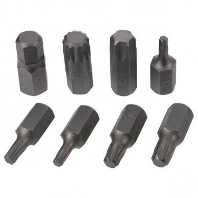 Antgalių rinkinys TORX HEX SPLIN, plastikinė dėžutė 40vnt. 4