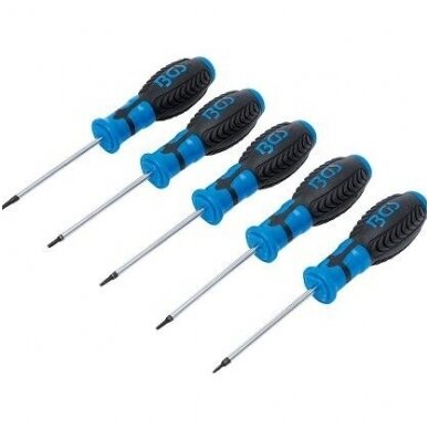 Atsuktuvų rinkinys T-Star (Torx) T6-T10 5vnt. BGS-Technic