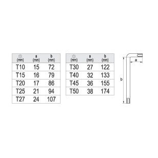 Šešiakampių raktų komplektas TORX 9 dalių T10-T50